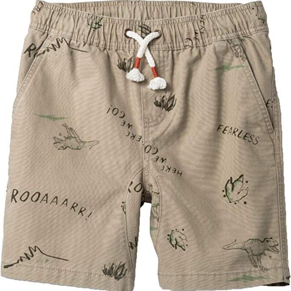 Boys pull-on shorts- dinosaur print